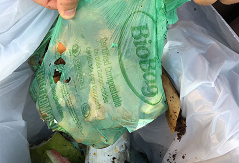 Biodegradable / Compostable Bags