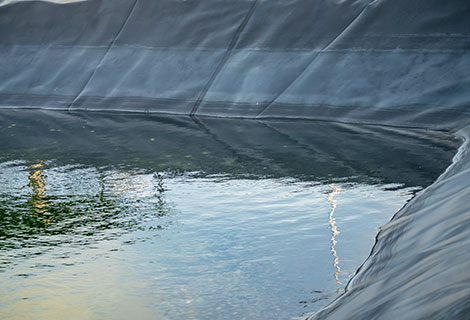 Geomembrane