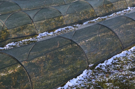 Agricultural Netting