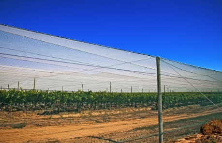 Agricultural Netting