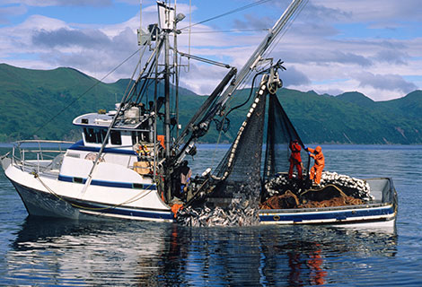 Fishing Line Materials