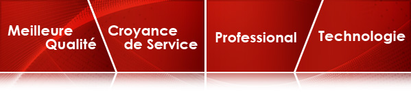 Meilleure Qualité, Croyance de Service, Professional, Technologie